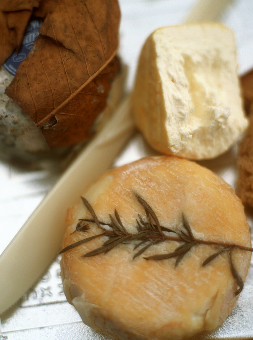Various types of goat’s cheese
