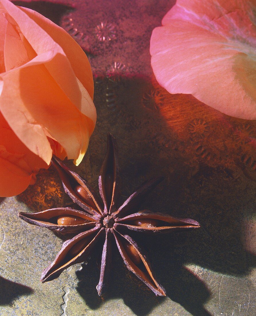Rose petals and star anise