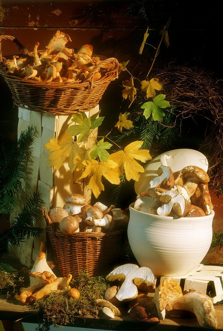 Autumnal still life with forest mushrooms and button mushrooms