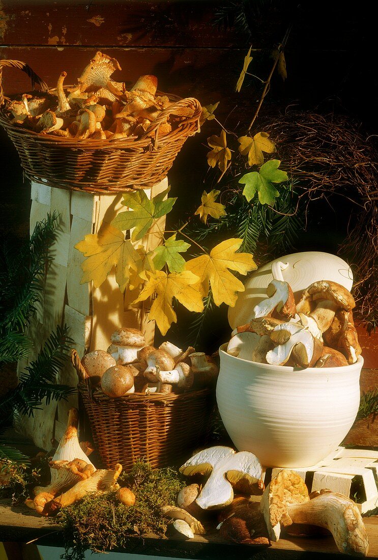 Herbstliches Stillleben mit Waldpilzen und Champignons