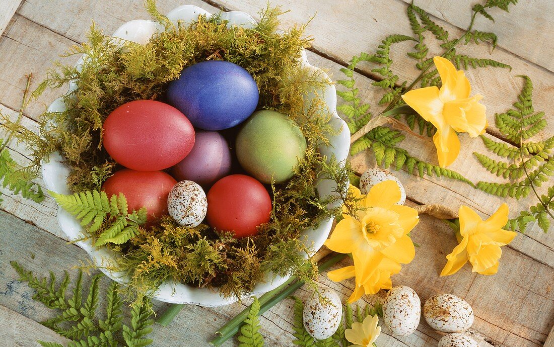 Easter eggs in bowl with moss; spring flowers