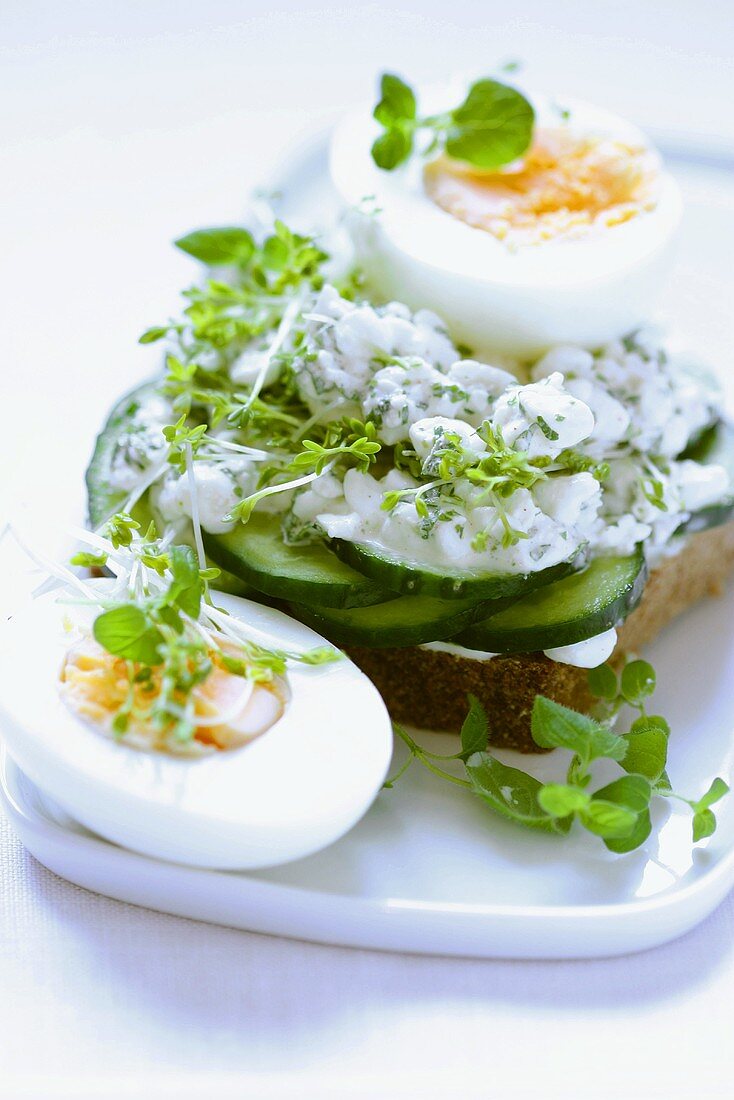Open sandwich with cucumber and cottage cheese; boiled eggs