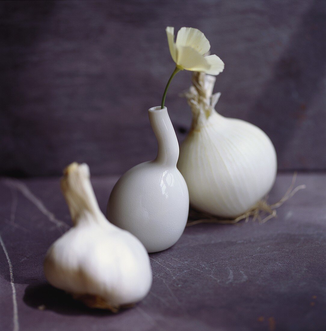 Still life with garlic, white onion and flower vase