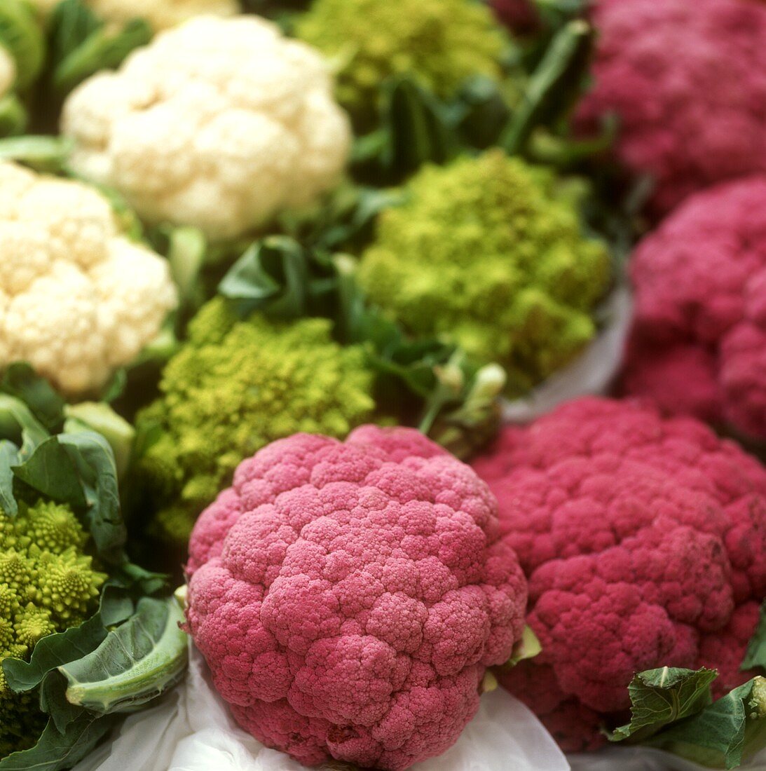 Purple cauliflower, Romanesco and white cauliflower