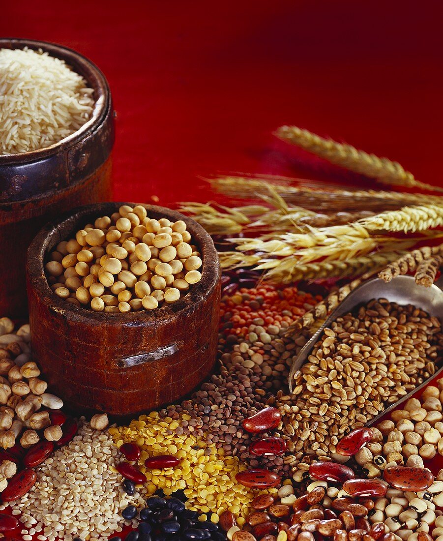 Stillleben mit Getreide, Reis und Hülsenfrüchten