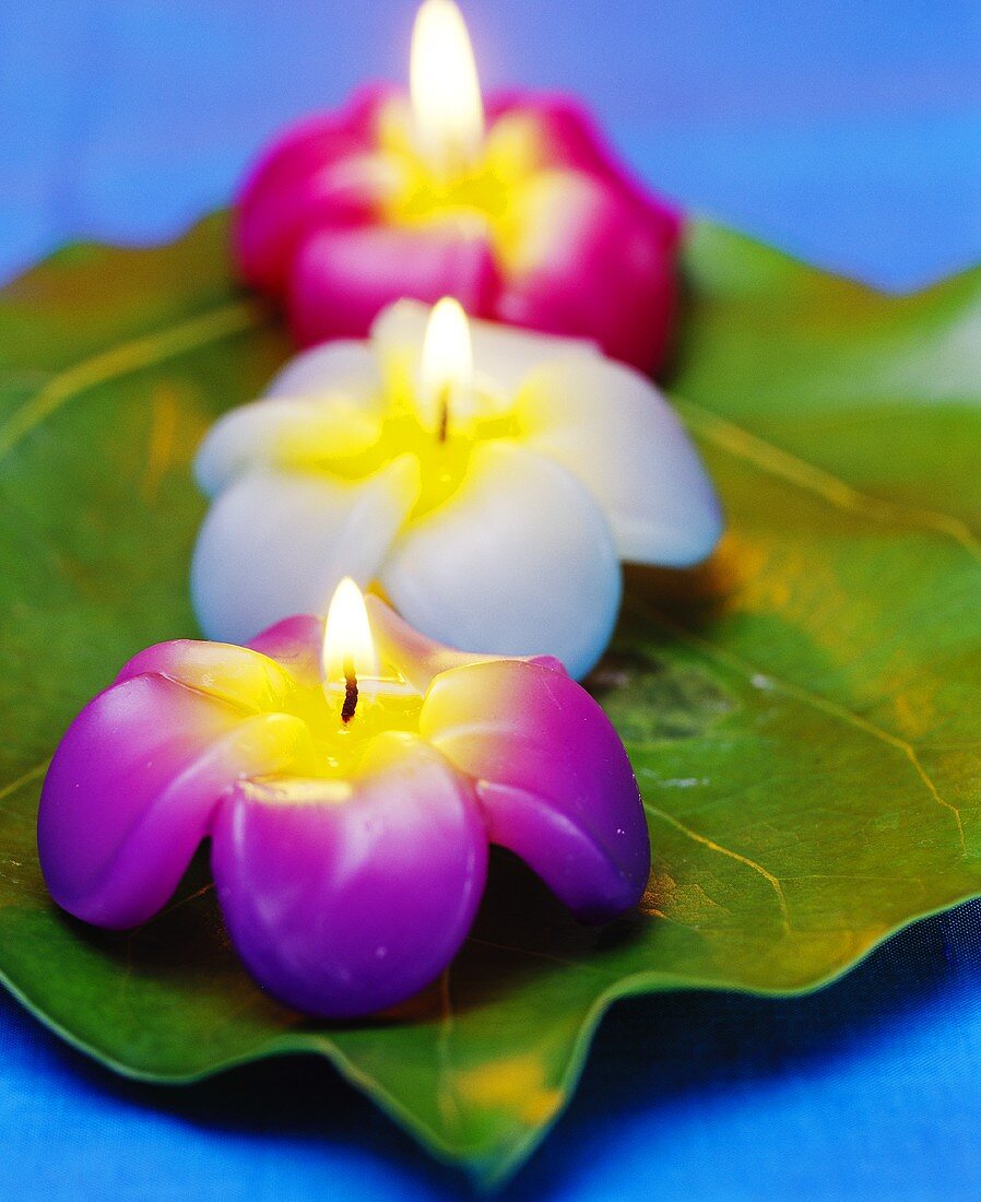 Flower candles as table decoration for Thai meal