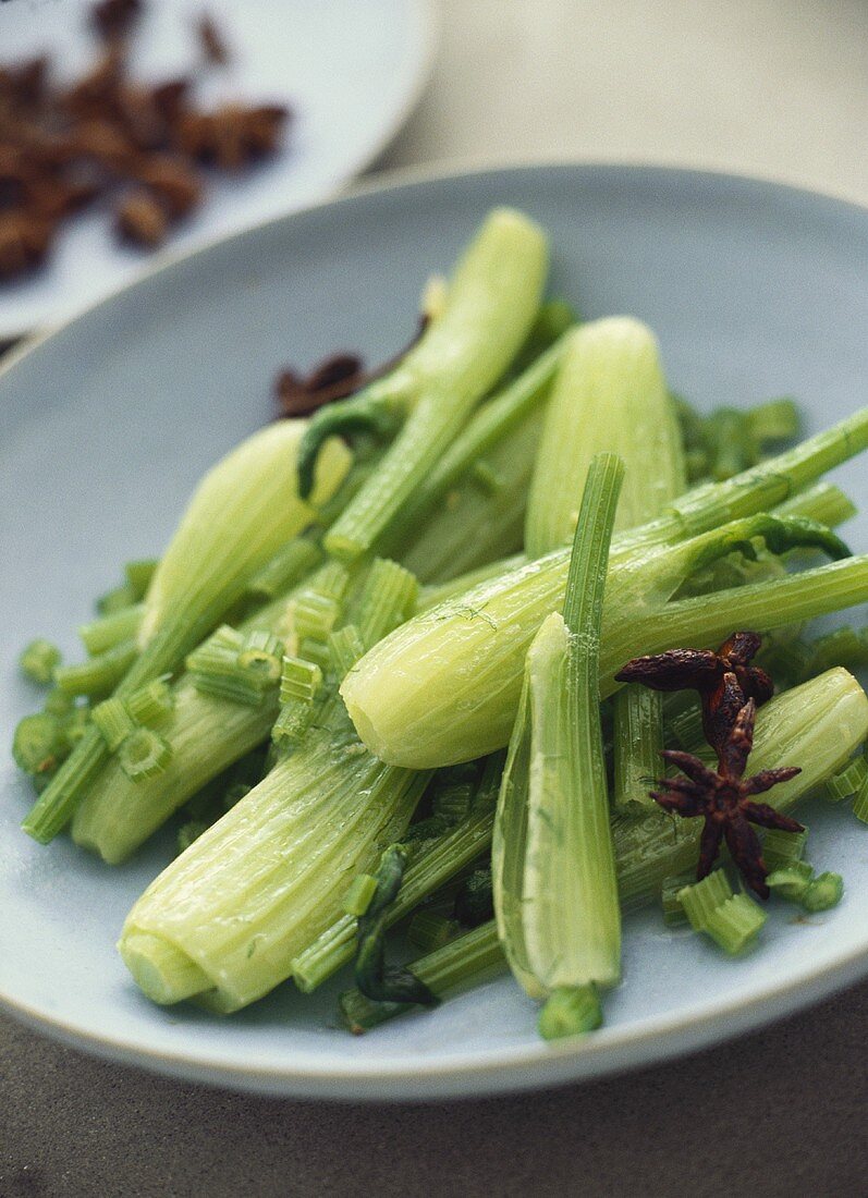 Junger Fenchel mit Sternanis