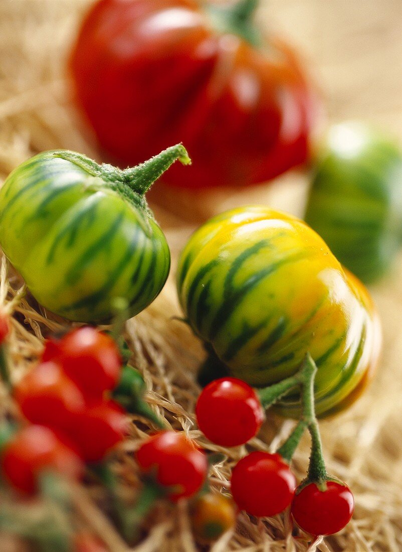 Stripes aubergines and cherry tomatoes on straw