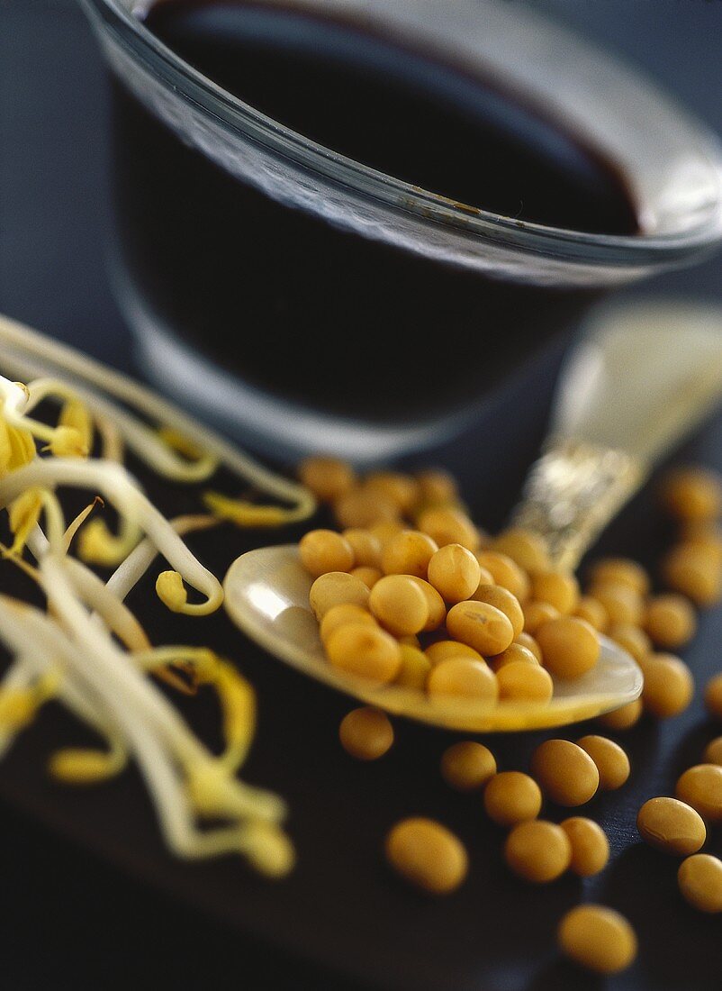 Soya beans, soya sprouts and soy sauce