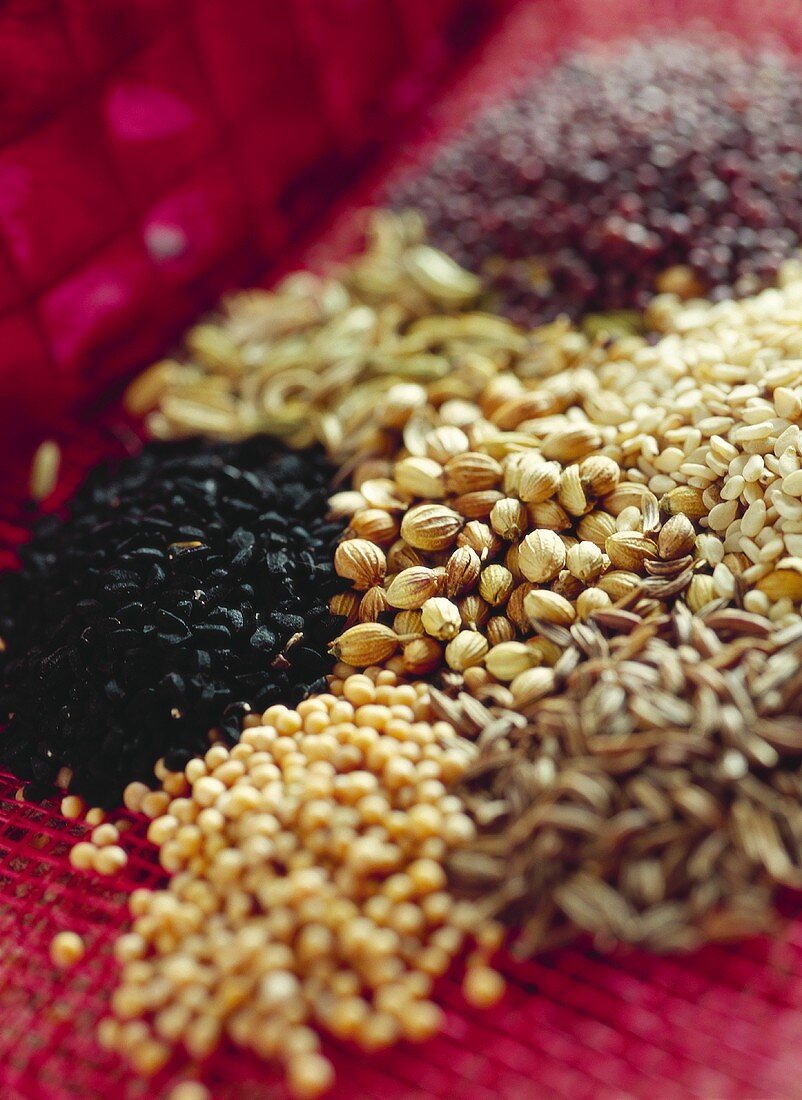 Still life with various seeds