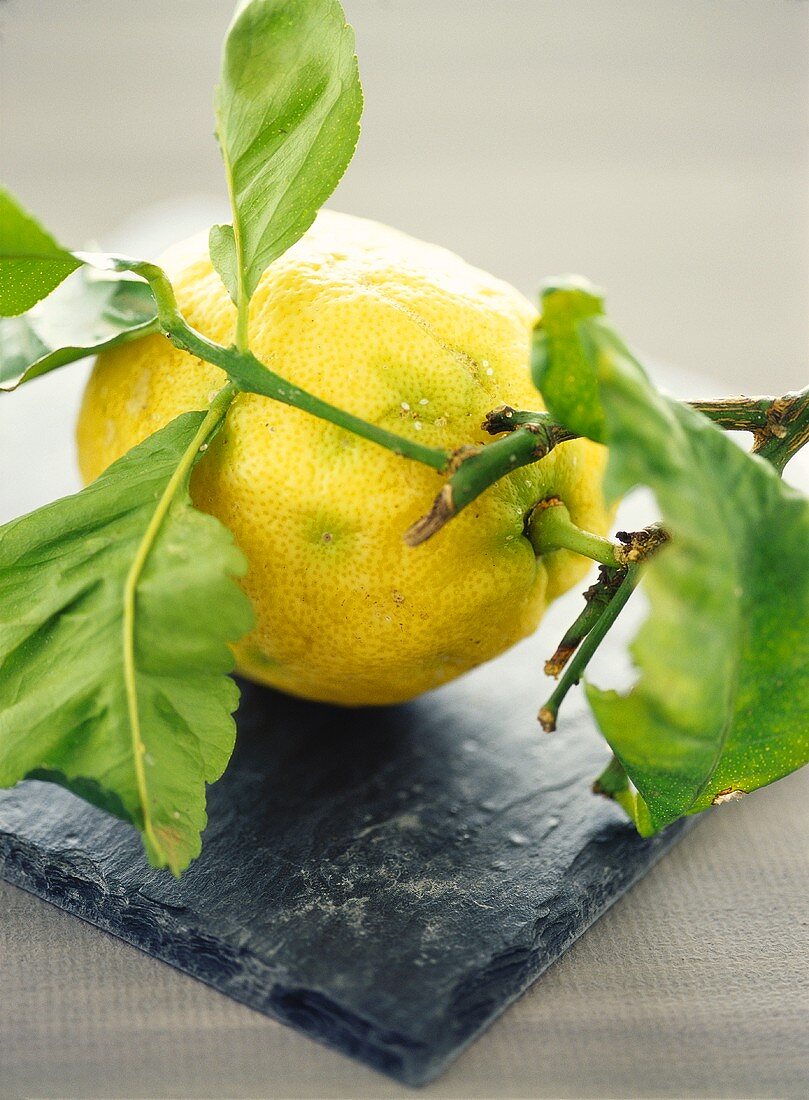 Lemon with leaves