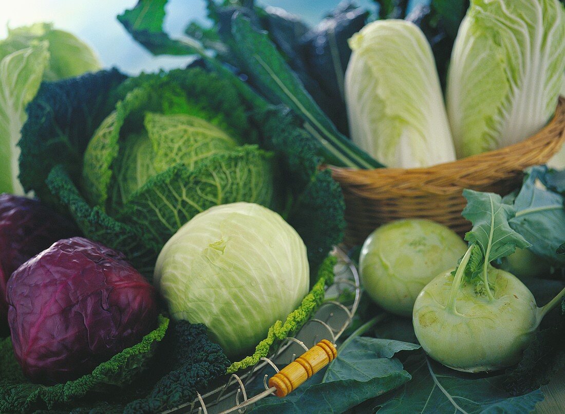 Assorted Cabbages