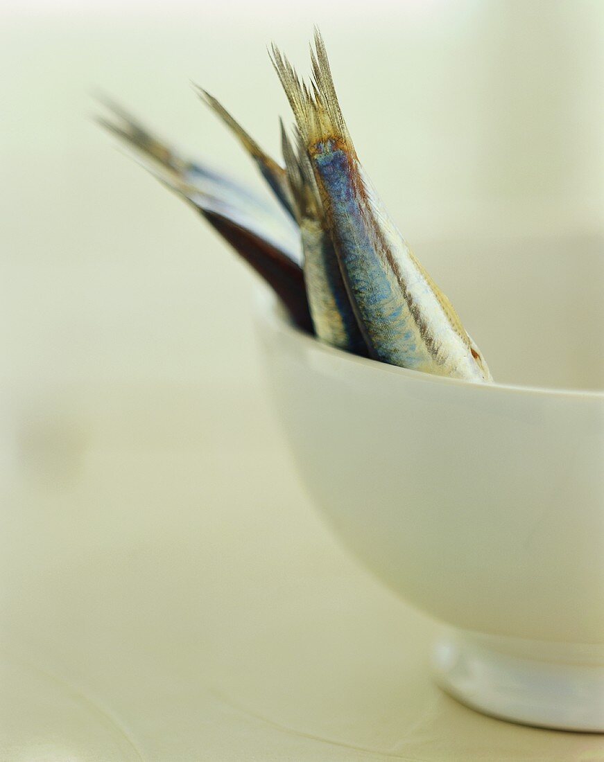 Fresh anchovies in white bowl