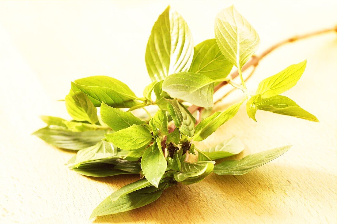 Fresh Thai basil