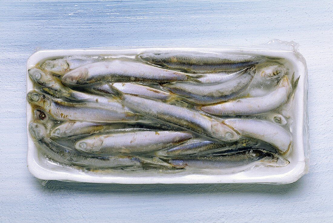 Frozen sardines in packaging
