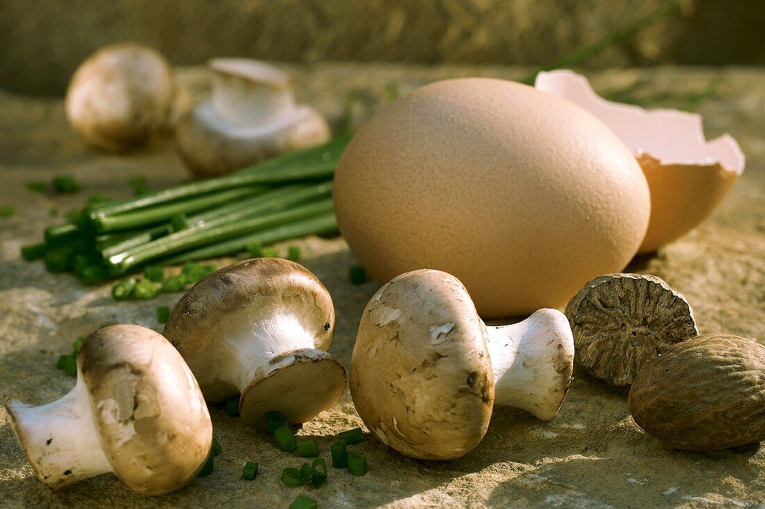 Stillleben mit Champignons, Ei, Muskat und Schnittlauch