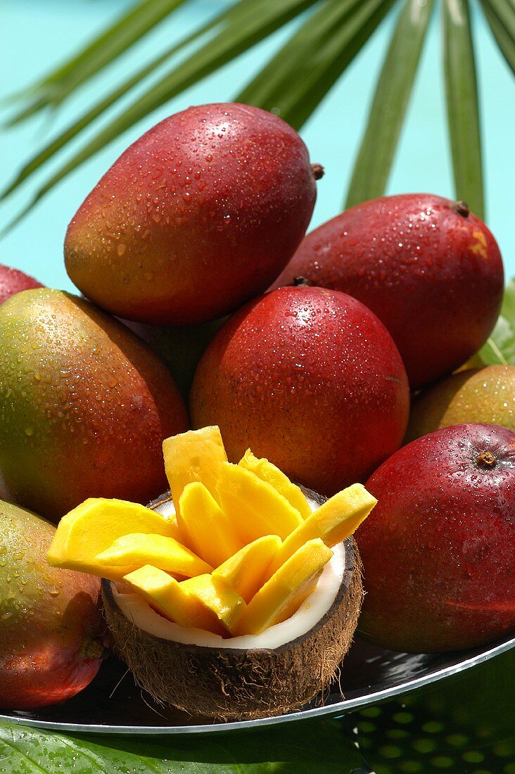 Frische Mangos und Mangoschnitze in ausgehöhlter Kokosnuss