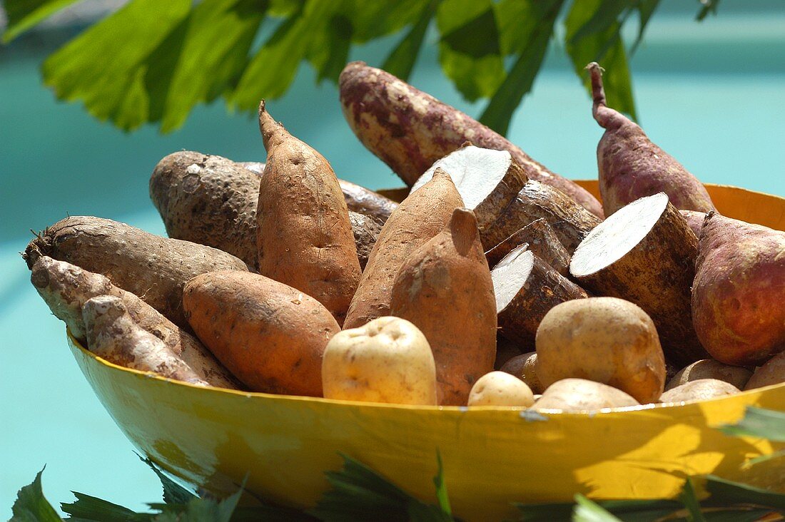 Potatoes, sweet potatoes and yam in yellow bowl