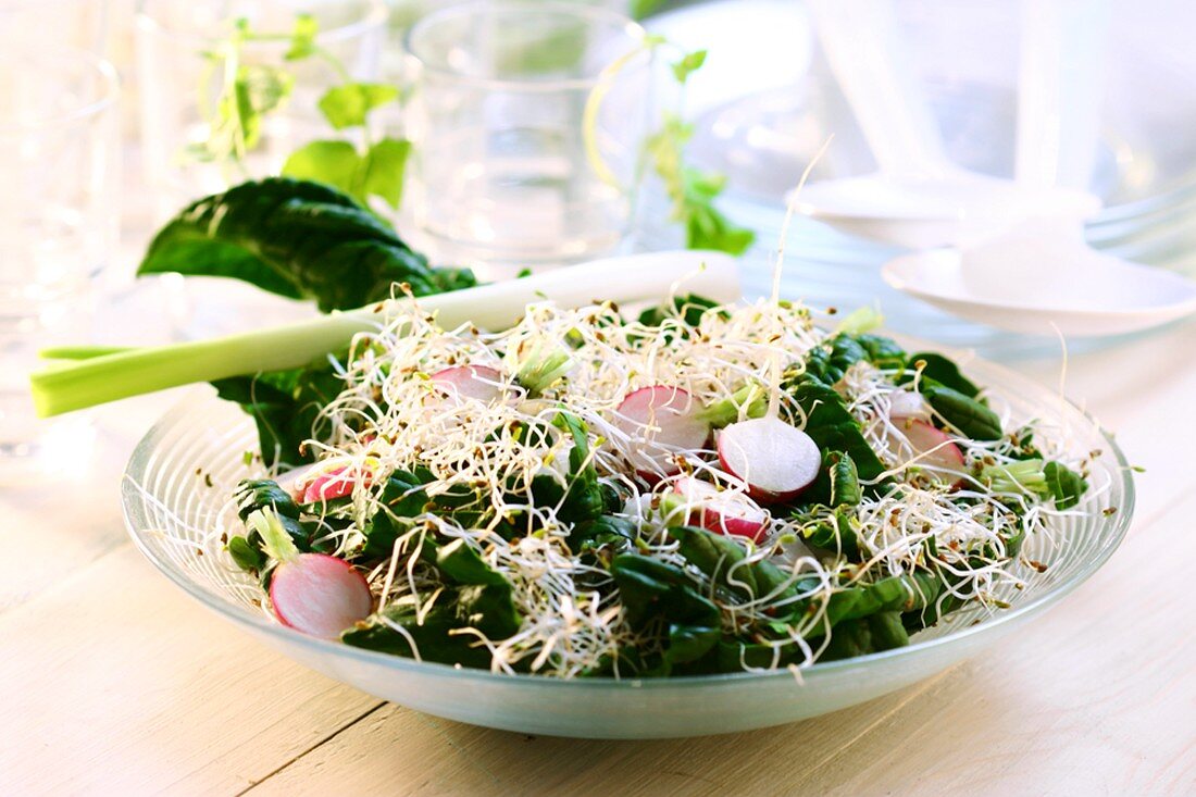 Spinatsalat mit Radieschen und Sprossen