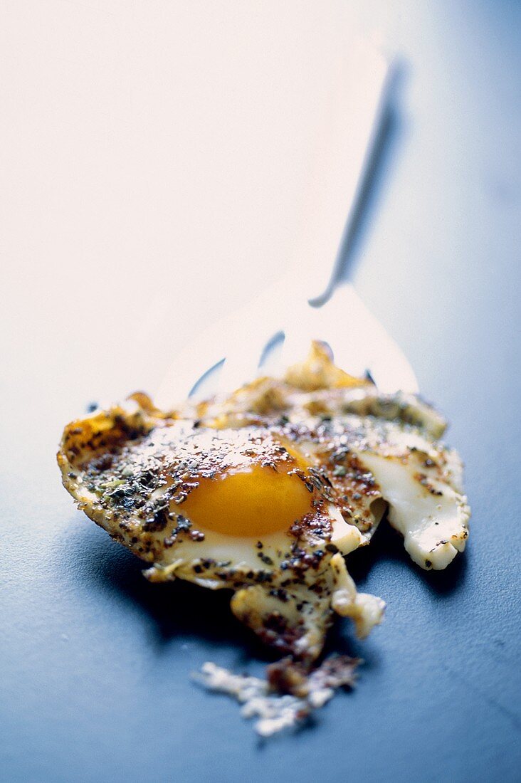 Fried egg on spatula
