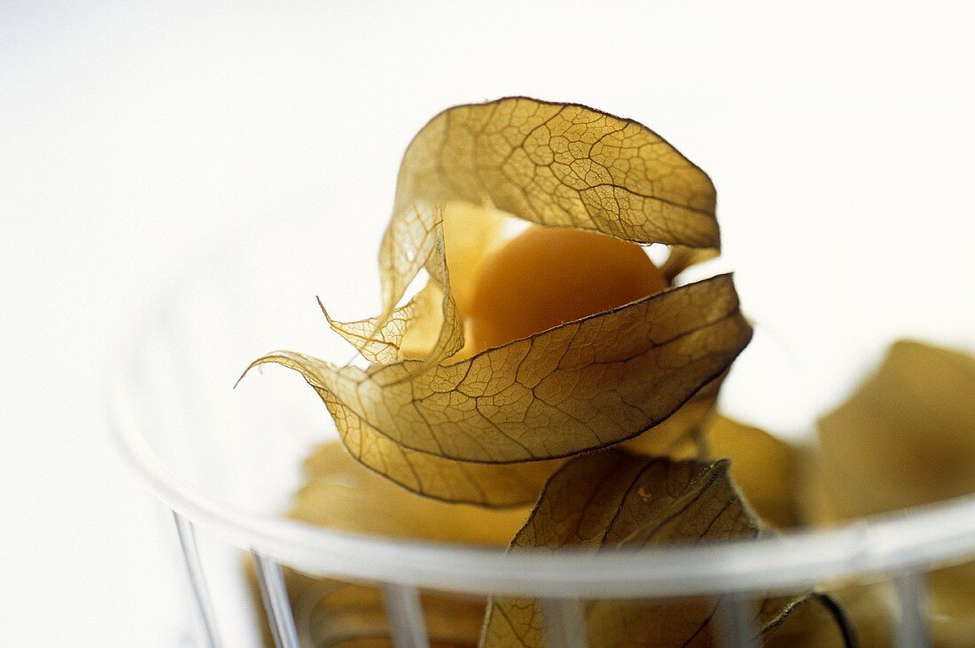 Physalis im Metallkorb