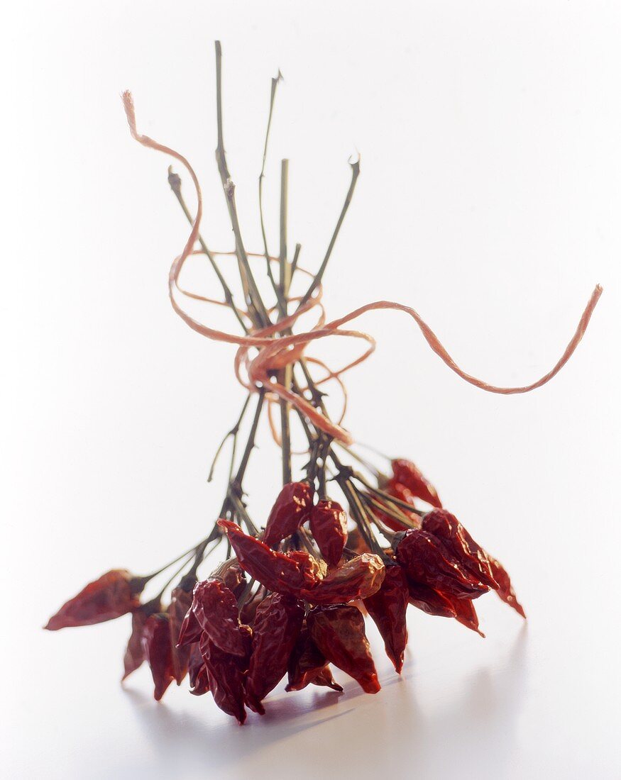 Bunch of dried chili peppers