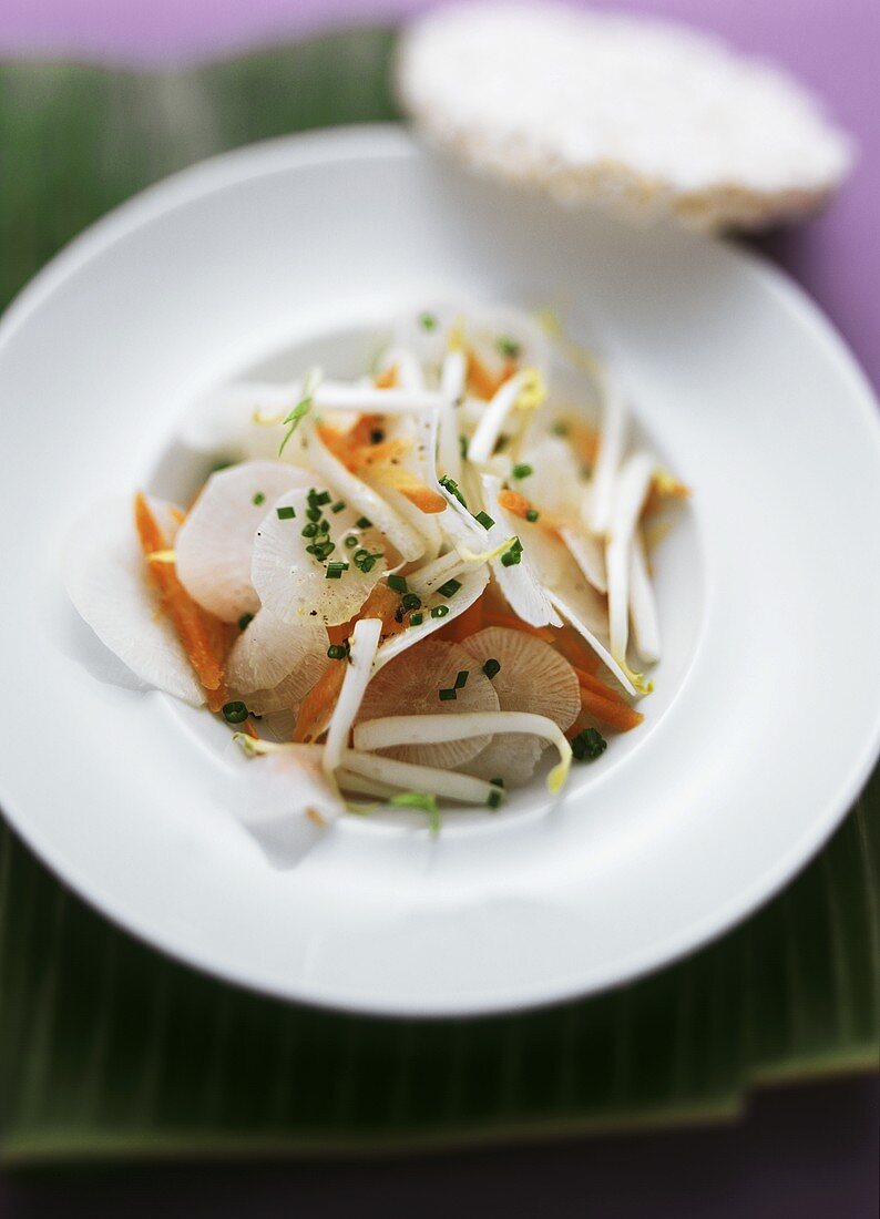 Radish and carrot salad with sprouts; rice wafer