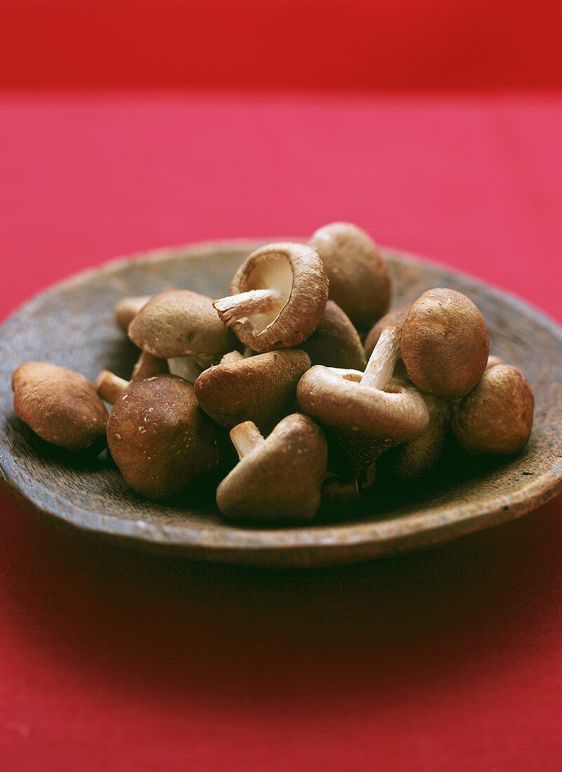 Fresh shiitake mushrooms in brown bowl