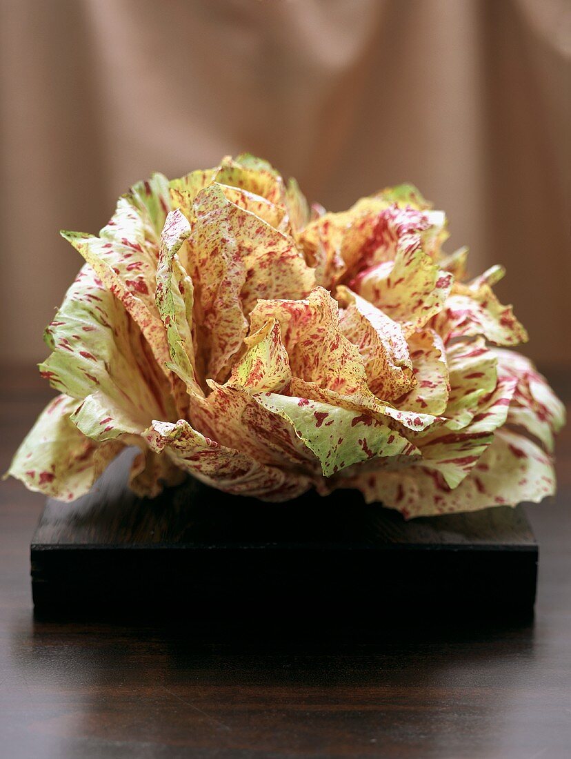 Fresh radicchio