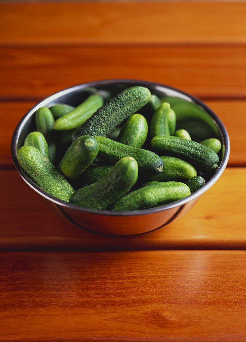 Fresh pickling cucumbers in metal bowl
