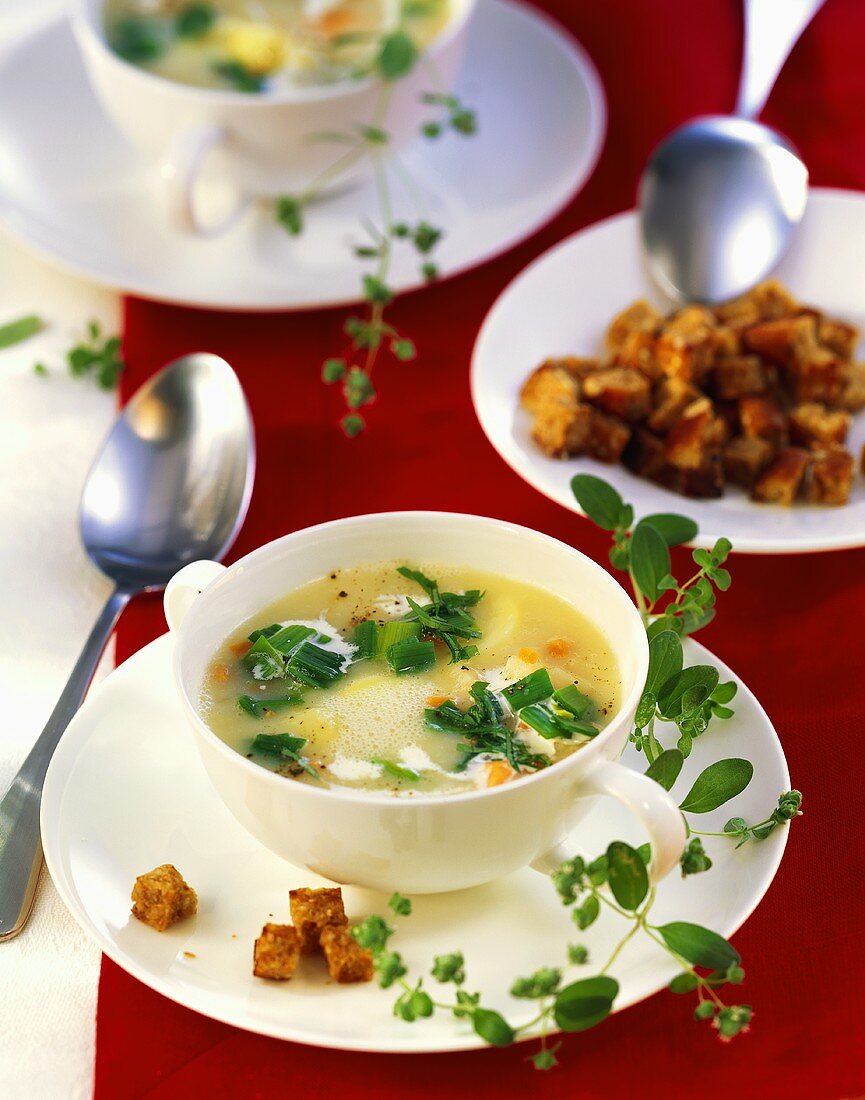 Potato soup with croutons and fresh marjoram