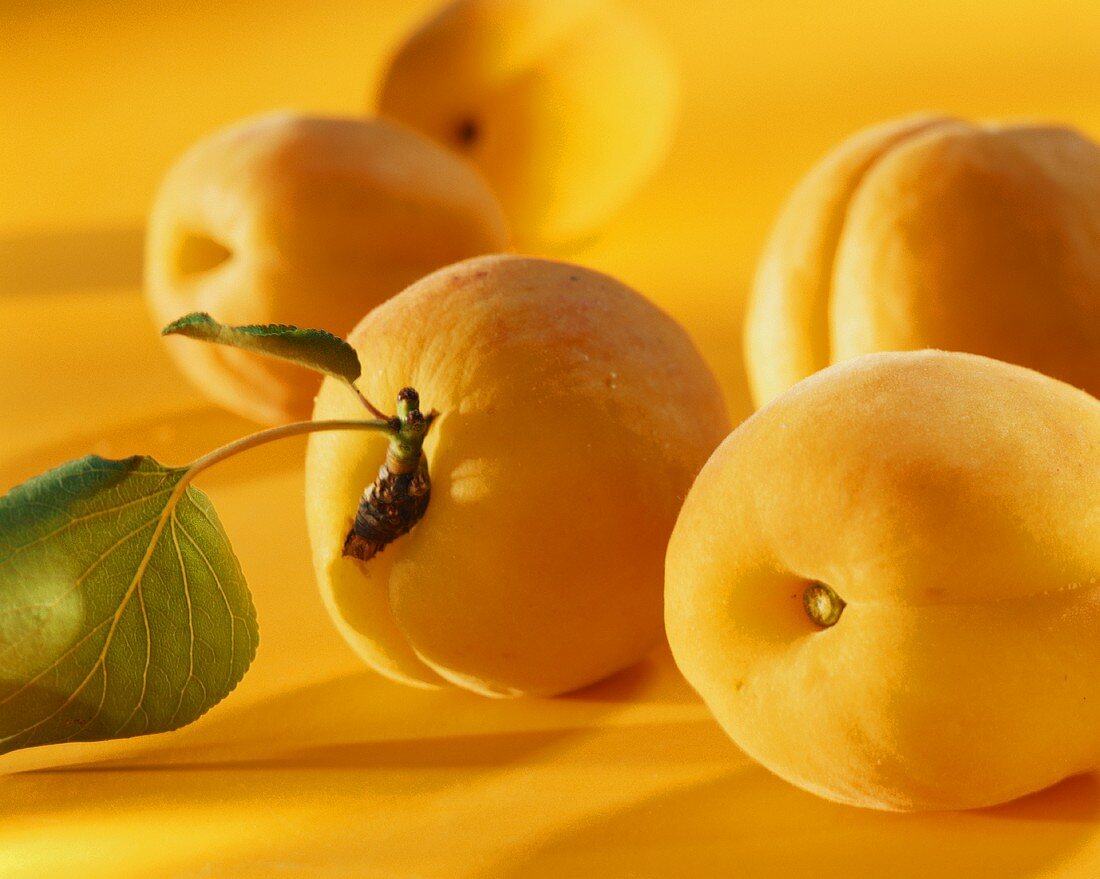 Fresh apricots on yellow background