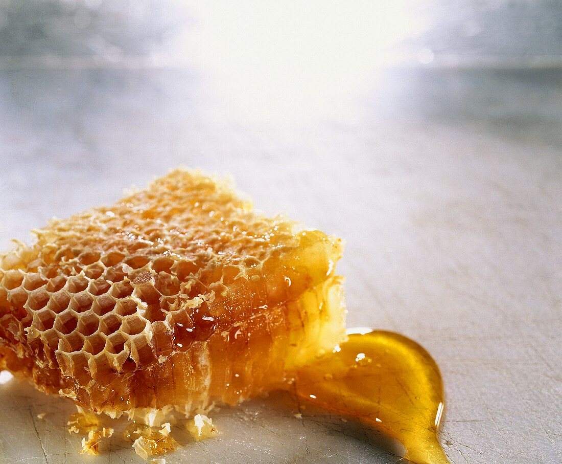 Honigwabe und Honig