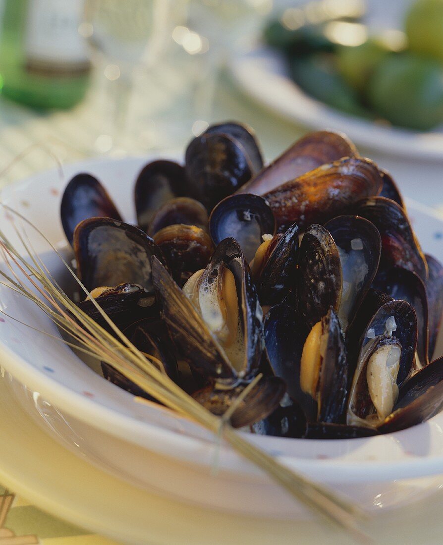 Mussels with cream sauce