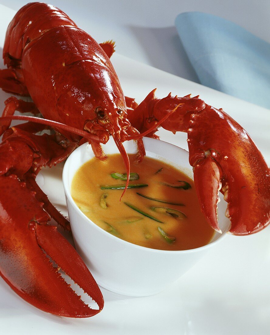 Lobster sauce with spring onions