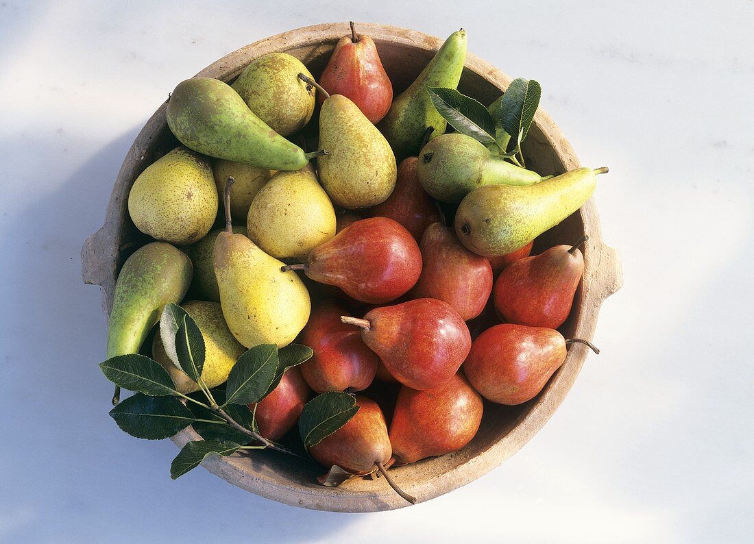 Various types of pear in a bowl