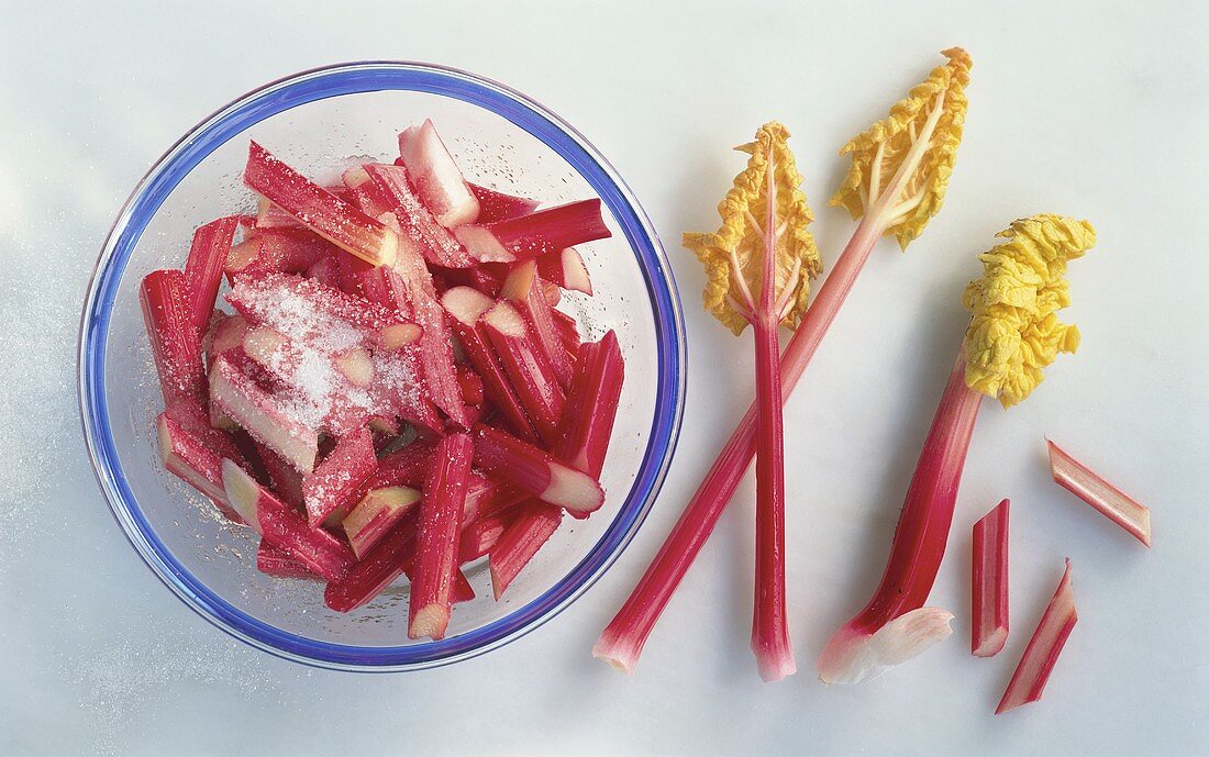 Sugared pieces of rhubarb on plate and stick of rhubarb