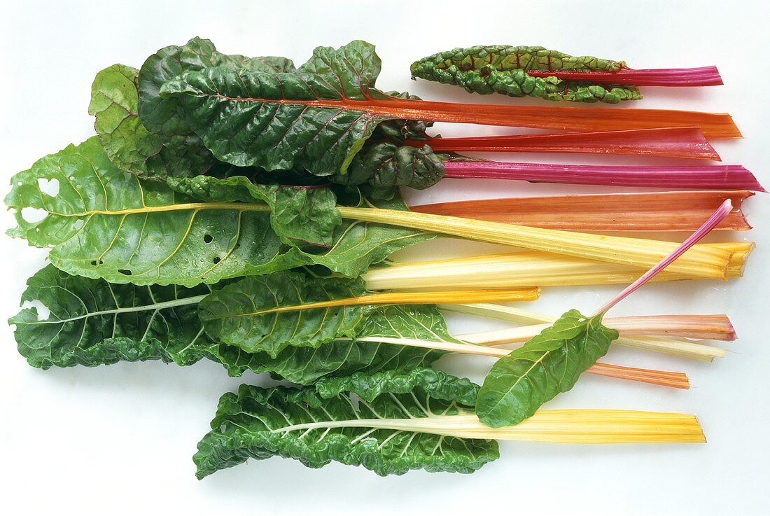 Various types of chard