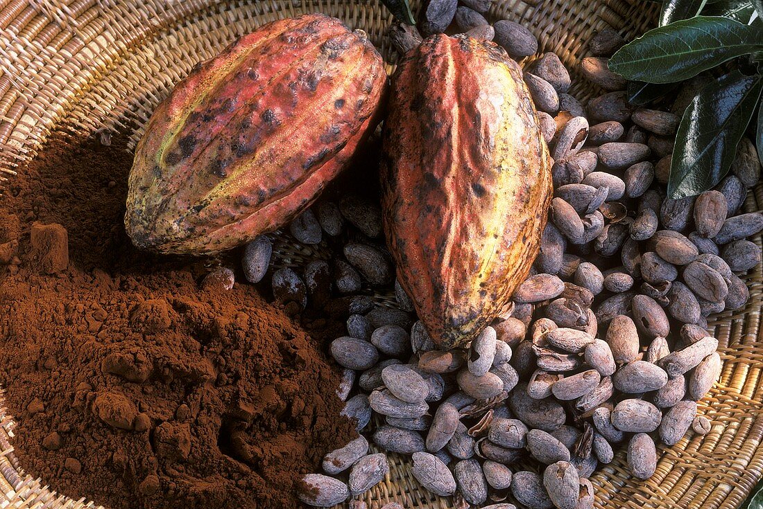 Kakaofrucht, Kakaobohnen und Kakaopulver in einem Korb