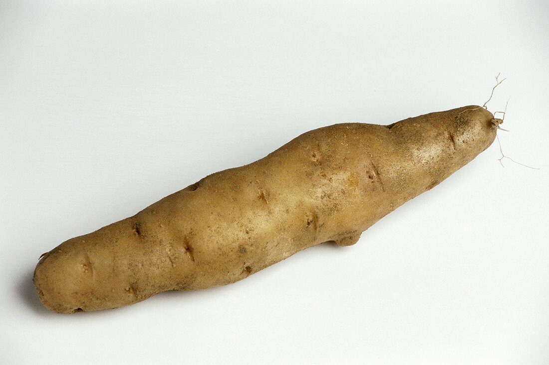 Eine Kartoffel (Bamberger Hörnchen)