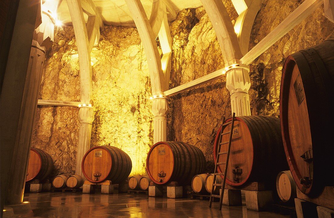 Weinfässer im Keller (Château Romanin St. Remy)