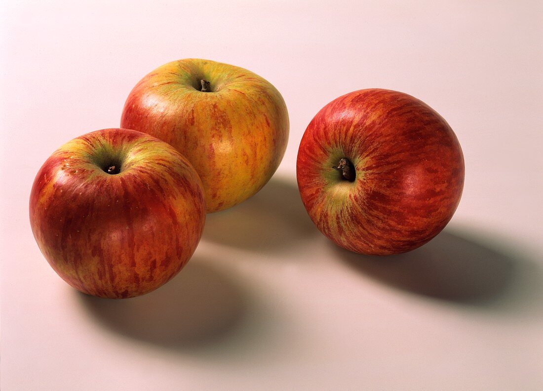 Three apples (Cox's orange pippin)