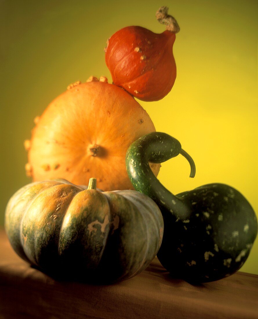 Four Assorted Squash