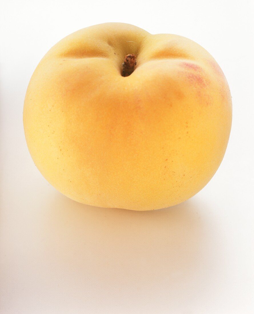 A Single Apricot