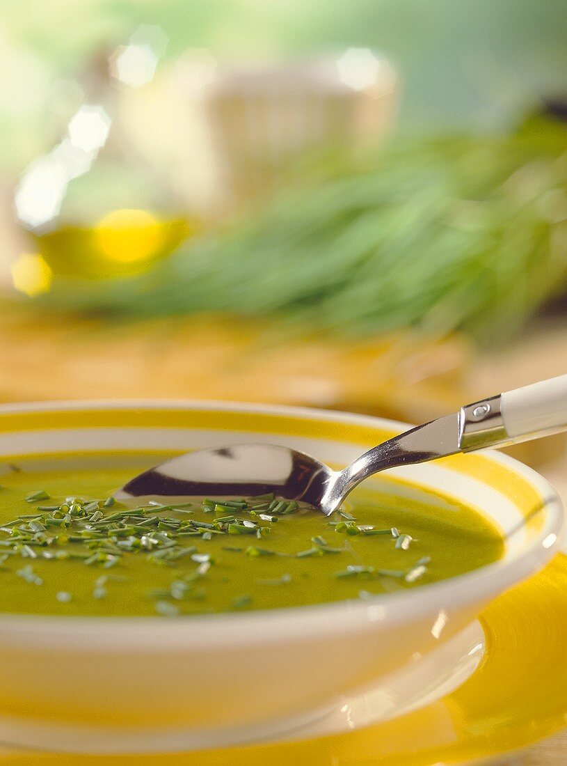 Creamed green vegetable soup with chives