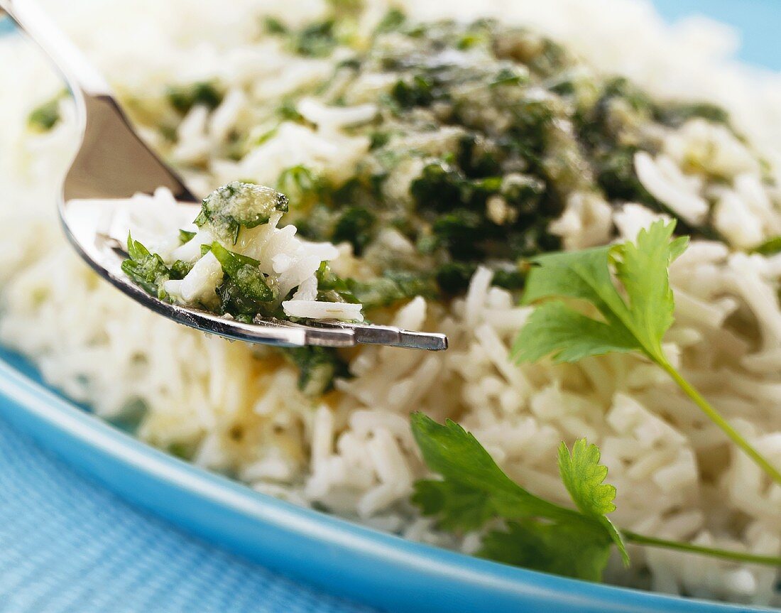 Rice with herb sauce on plate and on fork