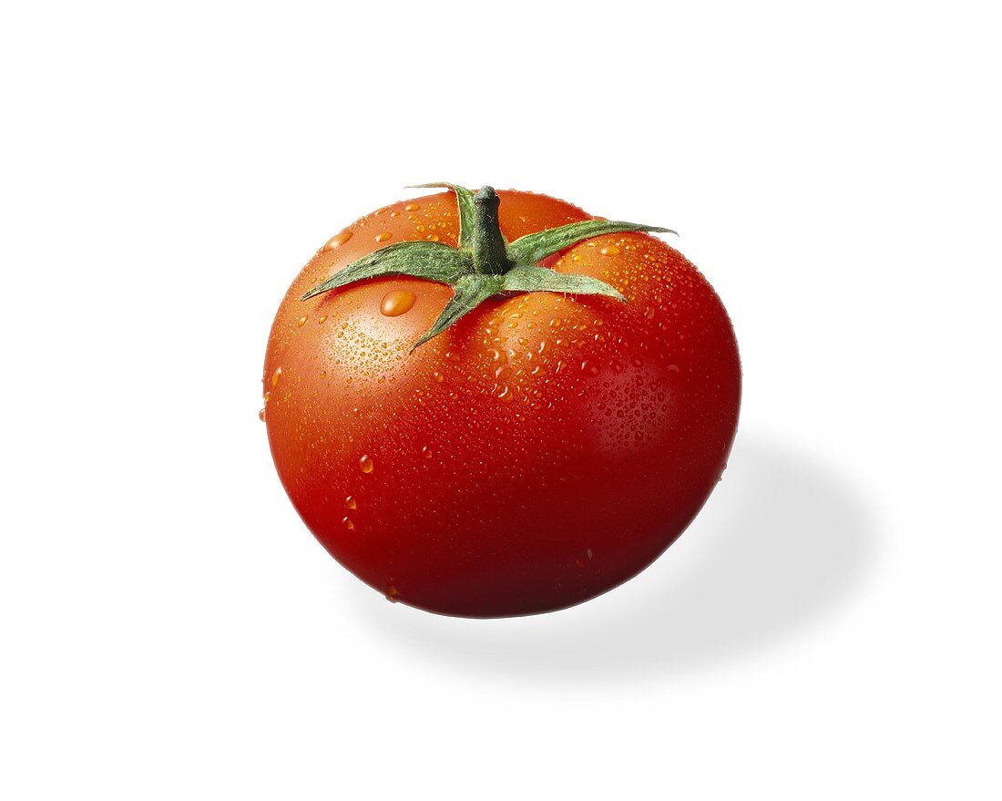 Eine frisch gewaschene Tomate