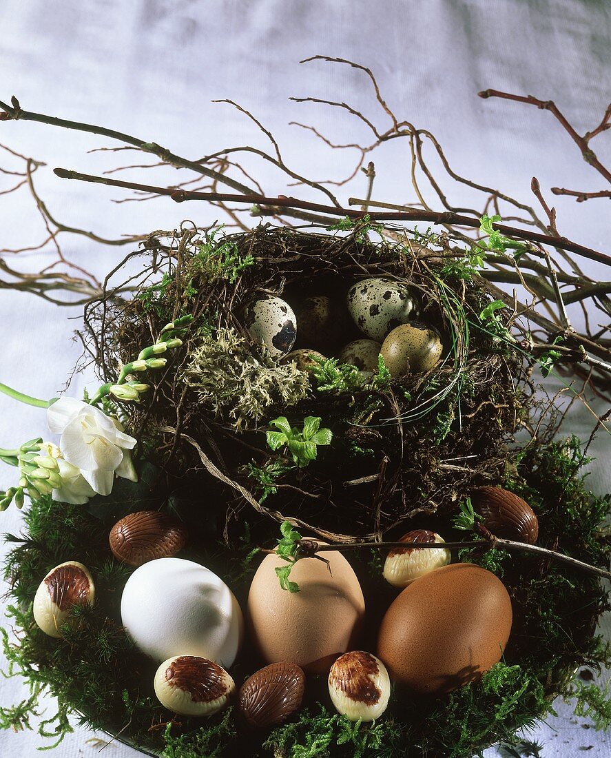 Schokoladenmousse-Eier auf Osterkranz gelegt