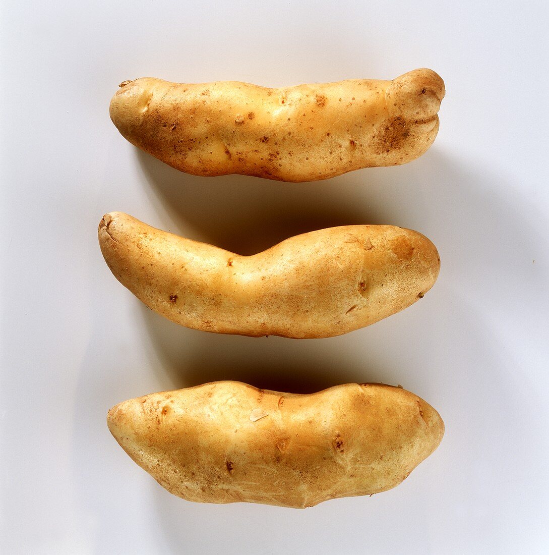 Drei Kartoffeln, Sorte: Bamberger Hörnchen