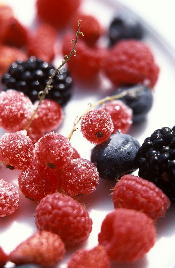 Mixed Berries with Sugar